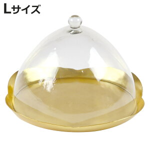 in bloom KXh[ ubT LTCY ANZT[ i g[ Cu[  KX W fBXvC gC ANZT[gC w sAX ANZT[g[ ^J C