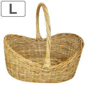 AO {[goXPbgL i  oXPbg [ ^ t JS nh VRf AWAG nhCh [  [ 傫 ҂   Ce