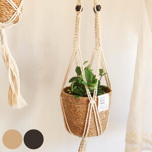 Aؔ }N nMO|bgNC L a12cm i  JS }N҂ ҂ vgnK[ |bg |bg AؔJo[ 艺 ݂艺 肳 Jo[ nMO