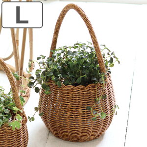 |bg eB Onh L i  JS |bg nht oXPbg ҂ 艺 ݂艺 肳  A Jo[ LTCY jy3980~ȏ㑗z