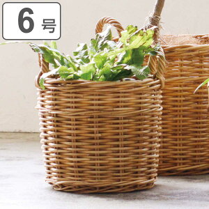 v^[oXPbg 6p AO i  JS ^ VRf oXPbg vg|bg ^oXPbg |bg X^h |bg AؔJo[ 6 6 jy3980~ȏ㑗