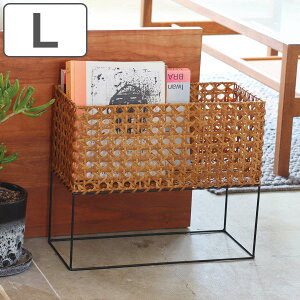 |bgX^h L Ch eBIN^ i  JS oXPbg ҂ vg|bg |bg X^h |bg AؔJo[ ACA ڕ҂ ɋ 6 6 2 jy3980~ȏ