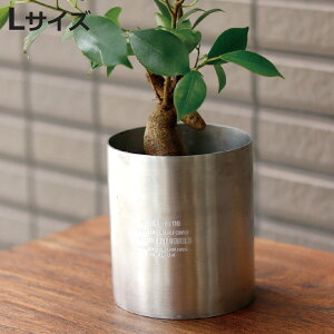 Jo[ \bhA~i|bgJo[ L i |bgJo[  Jo[ AؔJo[ v^[Jo[ A~ v^[ Aؔ K[fjO ϗtA   C_XgA 