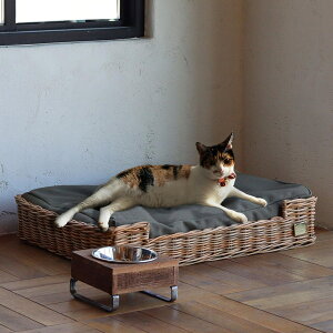 xbh L lp ^ NbVt 􂦂 i ybgxbh Lpxbh Lp ybgp  oXPbg NbVt  ybgnEX nEX Lxbh \t@  AWA i`