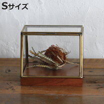 楽天市場】ガラス ショーケース 木製（ジュエリー・アクセサリー）の通販