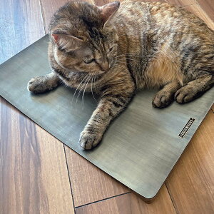 ybgxbh A~Ђxbh  i ybg xbh ybgp L  ΍  Ђ ₽  ėp ybg\t@ \t@ Vv CeA jy3980~ȏ㑗