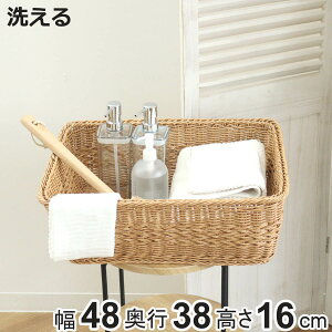 oXPbg eBiC[  Ng i 48×s38×16cm 􂦂[{bNX  JS 􂦂oXPbg [ VRfޕ [ [ [P[X ȒP y _