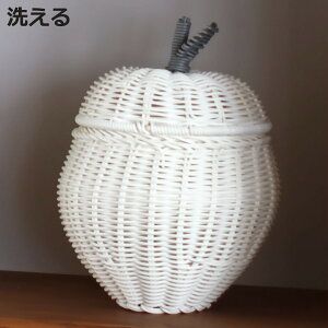  oXPbg a25.5cm t[cVFCvoXPbg Abv [P[X 􂦂 ӂt i [ [  t[c `[t ` ^   IV Vv k 