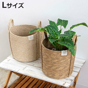 Jo[l tFCNPE oXPbgEh L i v^[Jo[ |bgJo[  JS oXPbg [JS [ ҂ ϗtA A    |bg  A