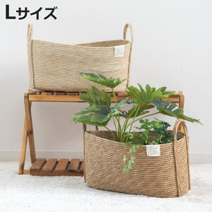 Jo[l tFCNPE oXPbgI[o L i v^[Jo[ |bgJo[  JS oXPbg [JS [ ҂ ϗtA A    |bg |b