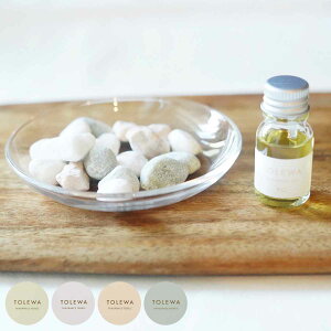 A}Xg[ TOLEWA tOXyu i A} A}IC  yu F 킢 u CeA {  v[g g [tOX tOX  