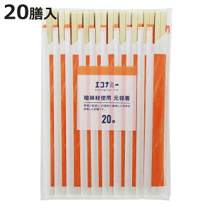  蔢 GRi~[ Aэތ\ 20V i 20.3cm ΂ ĝ   ͂ nV ΂ Aэ \ \  ܓ jy3980~ȏ㑗z