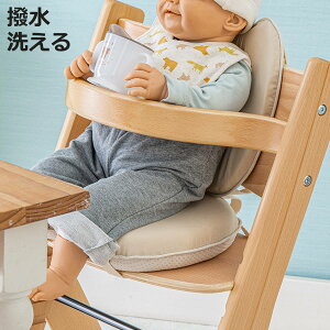 ߃NbV xr[`FA NbV  3iK i xr[`FApNbV  ֎q zc 􂦂 H ~ xr[ Ԃ `FANbV LbY`F