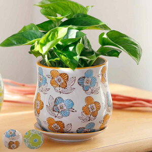 Aؔ |[bV|bg E i t[|bg vg|bg v^[|bg  A  CeA Aւ  ϗtA A T{e | 󂯎M  jy3980