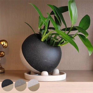 Aؔ q[|bg C^Cv 󂯎Mt i t[|bg vg|bg v^[|bg  A  CeA Aւ  ϗtA A T{e | 󂯎M 