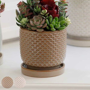 Aؔ j[h|bg A^Cv LTCY 󂯎Mt i t[|bg vg|bg v^[|bg  A  퐻 CeA Aւ  ϗtA A T{e 