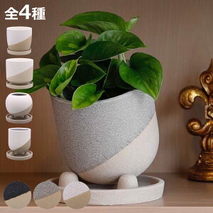 �A�ؔ� ���q�[�|�b�g A�^�C�v B�^�C�v C�^�C�v D�^�C�v �󂯎M�t�� �i �t�����[�|�b�g �v�����g�|�b�g �v�����^�[�|�b�g �� ���A�� �C���e���A �A���ւ� ������� �ϗt�A�� �����A�� �T�{�e��