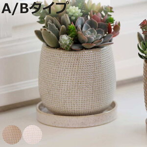 �A�ؔ� �j�[�h�|�b�g A�^�C�v B�^�C�v L �󂯎M�t�� �i �t�����[�|�b�g �v�����g�|�b�g �v�����^�[�|�b�g �� ���A�� ���� ���퐻 �C���e���A �A���ւ� ������� �ϗt�A�� �����A�� �T�{�e�� 