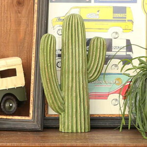 T{e tFCN 35.5cm u IuWF _g DULTON i tFCNO[ ϗtA  fBXvC {^jJ A A CeA   rO ItBX Lb`