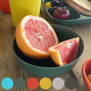 v[g 15cm S M&B fB[vv[g vX`bN ou[t@Co[ i H@Ή [M M M ou[ | ɂ y r^~J[ AEghA Lv sNjbN M q