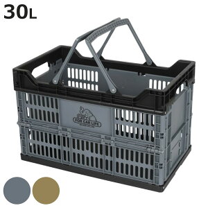 DULTON  tH[fBOVbsOoXPbg 30L i _g 48×s28×31cm oXPbg  JS ܂肽 ςݏd [  [ AEghA Lv 