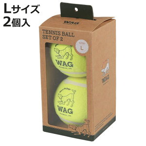 {[   DULTON TENNIS BALL SET OF 2 L 2 i _g p ybgp ejX{[ XgXU ybg pߋ ނ ybgpi  V hbO 