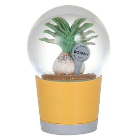 プランツ ウォーター ブーファン （ オブジェ 置き物 ガラスドーム 多肉植物 ダルトン 小物 雑貨 インテリア おしゃれ スノードーム風 飾る かわいい 可愛い 玄関 リビング 卓上 トイレ ニッチ ）【3980円以上送料無料】