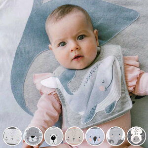 X^C Mister Fly Aj}ru 悾ꂩ 100 i xr[X^C ru O| Gv  Aj}  Rbg ̎q j̎q v[g xr[Gv HGv 傫 xr[ 