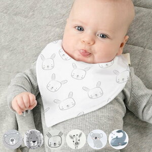 悾ꂩ Mister Fly X[ru 100 K[[ i xr[X^C ru O| Gv  Aj}  Rbg ̎q j̎q v[g xr[Gv HGv OpX^C x