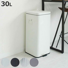 ゴミ箱 30L Galva ペダル式 （ ごみ箱 30リットル ペダルペール 幅27 分別 角型 ふた付き スリム スチール レトロ バケツ型 ダストボックス インナーバケツ付 縦型 ホワイト ブラック シルバー おしゃれ ）【3980円以上送料無料】
