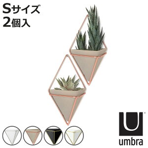 Umbra v^[ EH[I[KiCU[ S gbO 2 i A؃|bg vg|bg Ap|bg Au Z~bN ǂ  Ђ` 2 Ǌ|  |bg fBXvC n