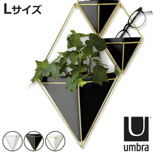 Umbra v^[ EH[I[KiCU[ L gbO i A؃|bg vg|bg Ap|bg Au Z~bN ǂ  Ђ` Ǌ|  fBXvC nMO 艺 