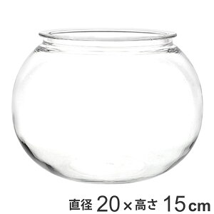 ԕr ȂKX PV` a20×15cm i Ԃт Ԋ t[x[X ^    Ȃ |J[{l[g v NA  A Aؔ  O[ ^ CeA 