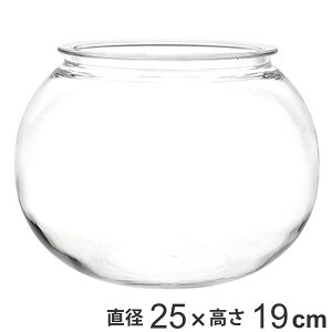 ԕr ȂKX PV` a25×19cm i Ԃт Ԋ t[x[X ^    Ȃ |J[{l[g v NA  A Aؔ  O[ ^ CeA 