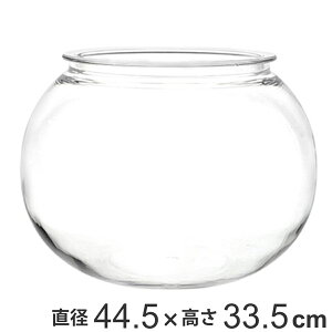 ԕr ȂKX PV` a44.5×33.5cm i Ԃт Ԋ t[x[X ^    Ȃ |J[{l[g v NA  A Aؔ  O[ ^ CeA 
