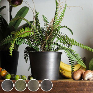 v^[ MC~|bg a14.5×11.5cm ACA i Aؔ vg|bg Ap|bg ԕr Ԃт Ԋ Jo[ |bg  ~  X^h u A  ϗtA A T