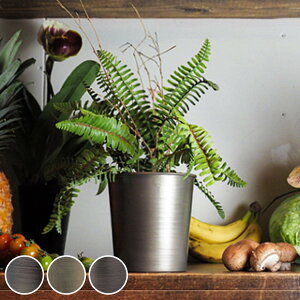 v^[ MC~|bg a14×14cm ACA i Aؔ vg|bg Ap|bg ԕr Ԃт Ԋ Jo[ |bg  ~  X^h u A  ϗtA A T{