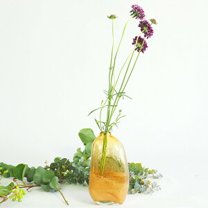 ԕr DG}Rx[X 11.5×s7.5×20cm TVC KX i Ԃт t[x[X Ԋ KX CeA G  hCt[ A  fXN H   t[ 