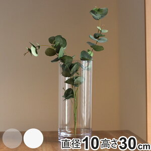 ԕr ȂKX PVV_[ a10×30cm i Ԃт Ԋ V_[ t[x[X  Ȃ x[X t[   ~ ~ |J[{l[g v LjX^[ NA 