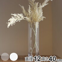 楽天市場】ポリカーボネイト 花瓶 40cmの通販