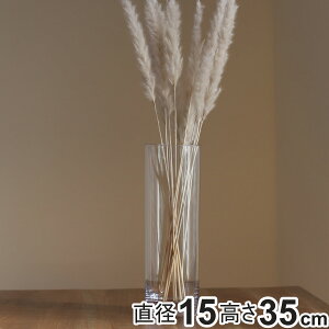 ԕr ȂKX PVV_[ a15×35cm i Ԃт Ԋ V_[ t[x[X  Ȃ ~ ~ |J[{l[g LjX^[ NA  A ؉ tFCN O[