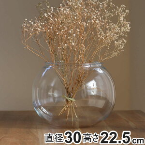 ԕr ȂKX PV` a30×22.5cm i Ԃт Ԋ t[x[X ^    Ȃ |J[{l[g v NA  A Aؔ  O[ ^ CeA 