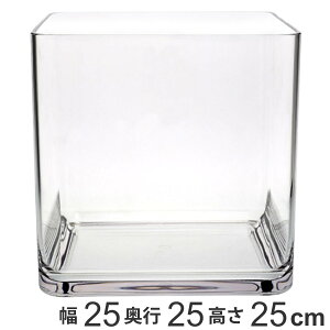 ԕr PVXNGA[ 25×s25×25cm |J[{lCg i  Ԃт Ԋ t[x[X  Ȃ lp  Aؔ L[u  |J[{l[g v NA  A 