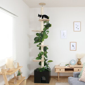 Lbg^[ ˂̋x \ ܂Ƃ ˂ i Lbgc[ L^[ ς ܌ LbgnEX X ȃXy[X  CeA L ˂ Lpi ^s XgX