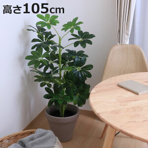 tFCNO[ htJmL 105cm i ϗtA tFCN lHϗtA     5Ή sv lHA O[  CeA lH A ͂Ȃ jy3980~