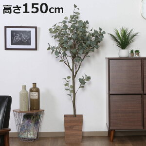 tFCNO[ [J 150cm WCg i lHϗtA ^   lH ϗtA A[gO[ sv ȒP A tFCN   rO  Ce