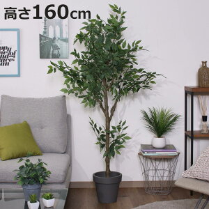 tFCNO[ tBJX 160cm WCg i lHϗtA ^   lH ϗtA A[gO[ sv ȒP A tFCN   rO  Ce