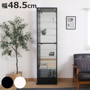 �R���N�V�����P�[�X ��48.5cm TOR �n�C�^�C�v �~���[�t�� �K���X�� �i ���b�N �I �f�B�X�v���C �w�ʃ~���[ �E�B�X�L�[�I �E�C�X�L�[�I ���[ �W�� �t�B�M���A�P�[�X ��������[ ���I �u���b�N 