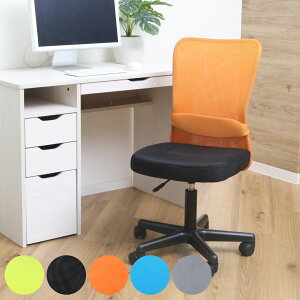 fXN`FA ʍ43`54cm ItBX`FA bV  ֎q LX^[`FA o[T|[g i `FA p\R`FA wK֎q [N`FA bV`FA wK`FA PC`