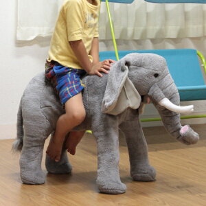 Aj}Xc[ ]E Xc[  ֎q LbY CX `FA Ibg}  i Aj}`FA |  `FA[ Aj} ǂԂ rO  qǂ q 킢  